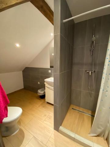 Apartment Agroborcz Borcz